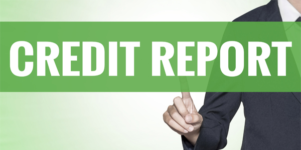 how to read cibil report